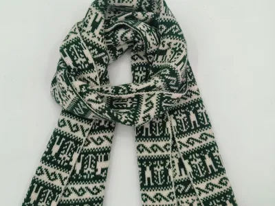 Gefalteter grün-cremefarbener Strickschal mit geometrischem Fair-Isle-Muster aus der Vogelperspektive auf weißem Hintergrund